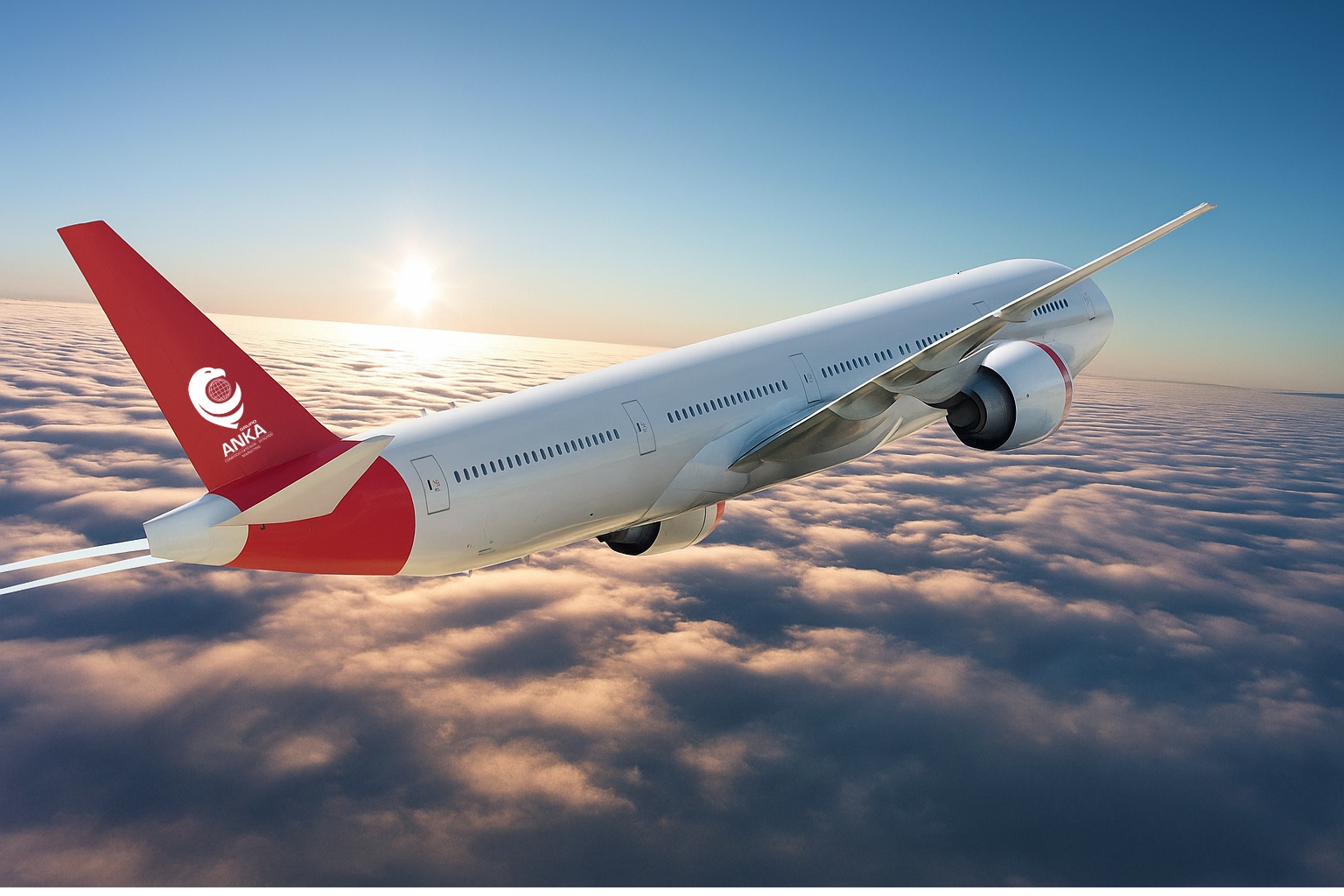 Importación y exportación