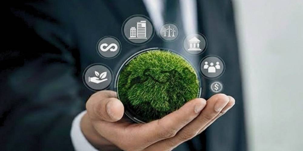 WhatsApp Image 2025-12-16 at 08.29.22